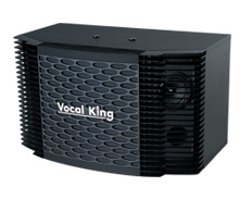 VS-308 豪迈型KTV音箱