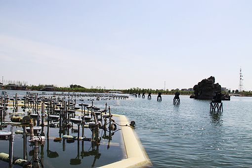 大兴新城滨河森林公园音乐喷泉工程