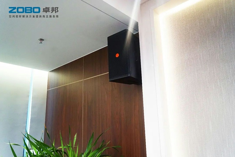 91麻豆精品秘密入口设备和会议扬声器系统安装的要点