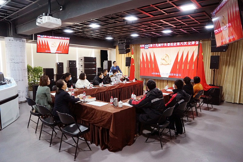 ZOBO麻豆影院91性欲党支部丨开展“学习贯彻党的十九届六中全会精神”主题党日活动