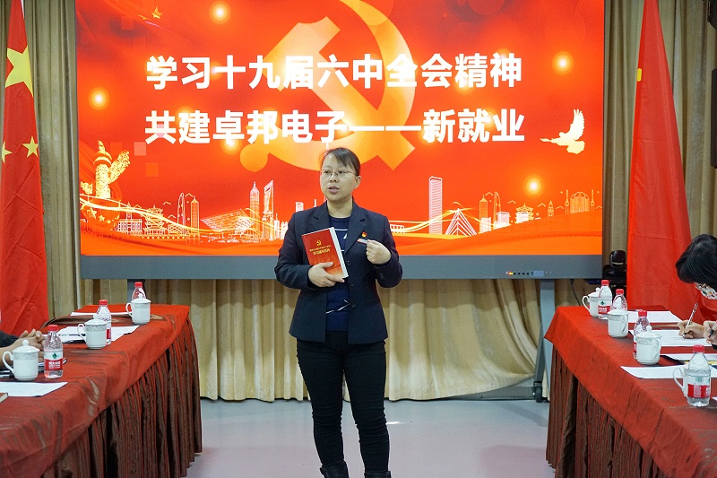 ZOBO麻豆影院91性欲党支部丨开展“学习贯彻党的十九届六中全会精神”主题党日活动
