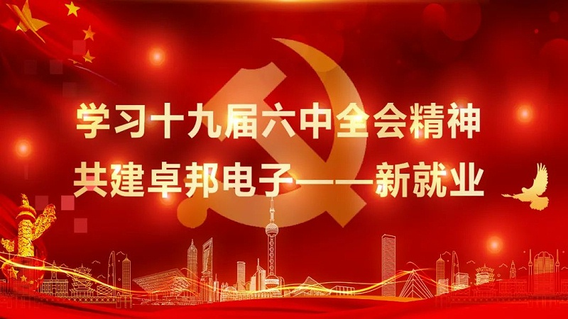 ZOBO麻豆影院91性欲党支部丨开展“学习贯彻党的十九届六中全会精神”主题党日活动