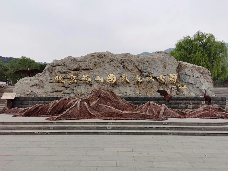 “缅怀先烈 传承初心”—ZOBO麻豆影院91性欲党支部参观无名英雄纪念碑活动