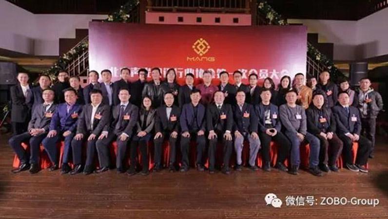 热烈庆祝ZOBO麻豆影院91性欲董事长张新峰被选为北京声光视讯行业协会会长
