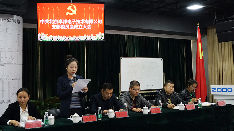 中共北京麻豆影院91性欲电子技术有限公司支部委员会成立